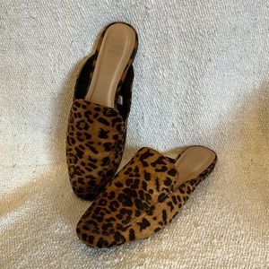 A New Day Leopard Mule